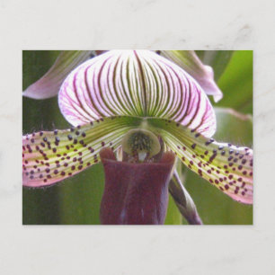 Uniek Orchid Briefkaart