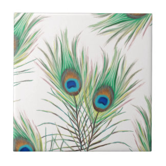Uniek patroon van Peacock Feathers Tegeltje