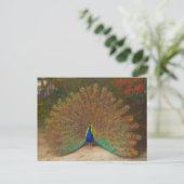 Uniek Peacock Briefkaart (Staand voorkant)