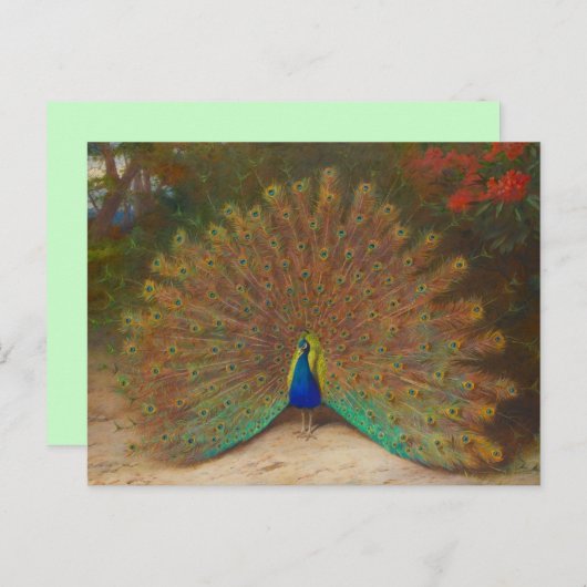 Uniek Peacock Briefkaart (Voorkant / Achterkant)
