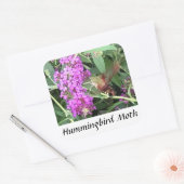 Uniek uitziende insect Hummingbird Moth Stickers (Envelop)