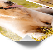 Unieke 5 Foto Collage Eenvoudig Wit Foto Afdruk (Hoek)