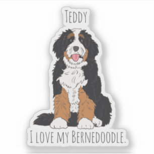 Unieke Aandenken: Op Maat Gemaakte Bernedoodle Hon Sticker