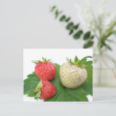 unieke aardbei briefkaart (Staand voorkant)