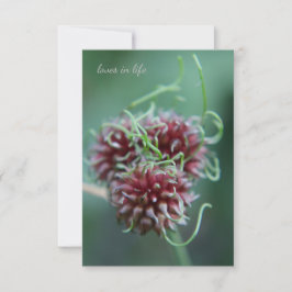 Unieke Alliums Notitiekaartje