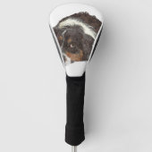 Unieke Australische herderhond Golfheadcover (Voorkant)