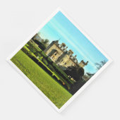 Unieke Cunningham Scottish Clan Finlaystone House Servet (Hoek)