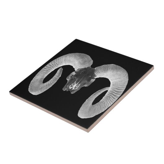 unieke en handgemaakte geitenkop tegeltje (Zijkant)