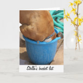 Unieke en humoristische hondenfoto van bokser in e kaart (Gele Bloem)