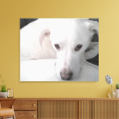 Unieke foto van witte labrador reever Mix Dog Canvas Afdruk (Insitu (Woonkamer))
