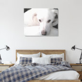 Unieke foto van witte labrador reever Mix Dog Canvas Afdruk (Insitu (Slaapkamer))