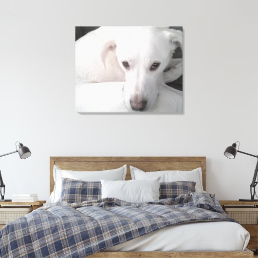 Unieke foto van witte labrador reever Mix Dog Canvas Afdruk (Insitu (Slaapkamer))