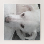 Unieke foto van witte labrador reever Mix Dog Legpuzzel (Horizontaal)