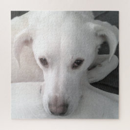 Unieke foto van witte labrador reever Mix Dog Legpuzzel