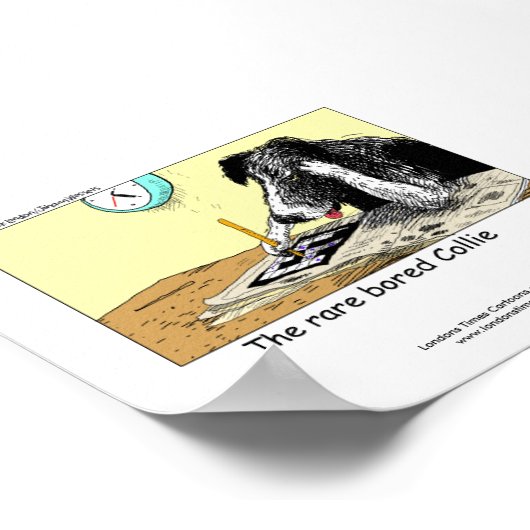 Unieke Funny Border Collie Poster (Hoek)