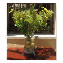 Unieke Gele bloem en citroenbloem