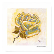 Unieke Gele Rose Bloem Bloemen Zuid-Frankrijk