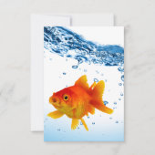 Unieke Goldfish Bowl Water Bedankkaart (Voorkant)