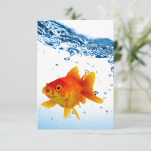 Unieke Goldfish Bowl Water Bedankkaart
