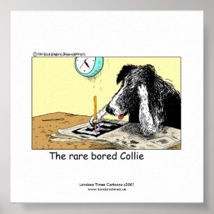 Unieke grappige Border Collie poster