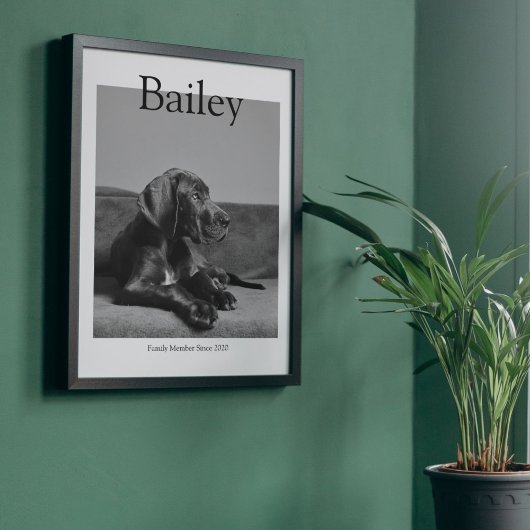 Unieke huisdier portret magazine aangepaste foto poster