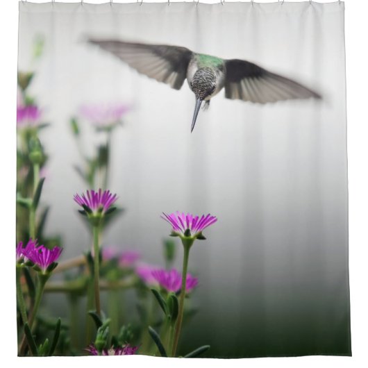 Unieke kolibrie douchegordijn (Voorkant)