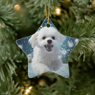 Unieke Maltese kerst, cadeau voor Hondenliefhebber Keramisch Ornament