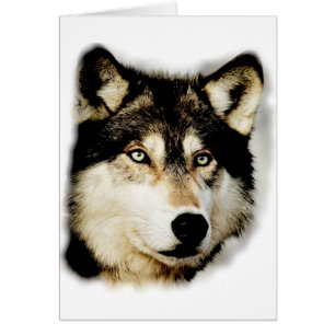 Unieke Motivatie wolf