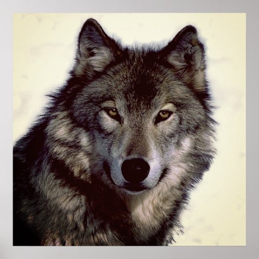 Unieke Motivatie Wolf Creative Square Poster (Voorkant)