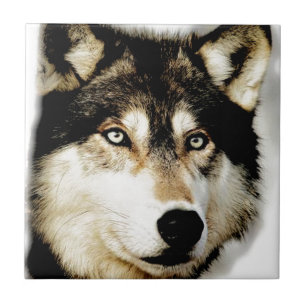 Unieke Motivatie wolf Tegeltje