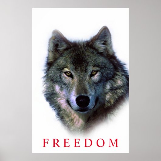 Unieke Motiverende Vrijheid Wolf Deur Poster (Voorkant)