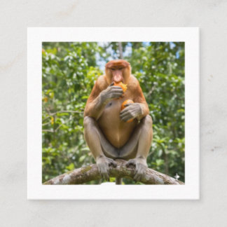 Unieke Neusaap Borneo Wildlife Sticker Vierkante Visitekaartje