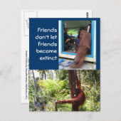 Unieke orangutaanse foto's briefkaart (Voorkant / Achterkant)