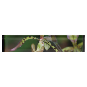 Unieke Orchid Naambordje