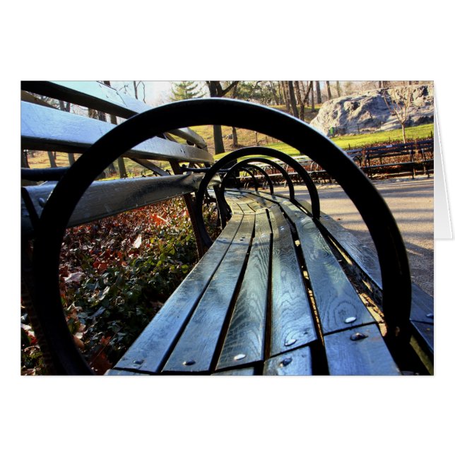 Unieke Park Bench in Central Park, NYC (Voorkant Horizontaal)