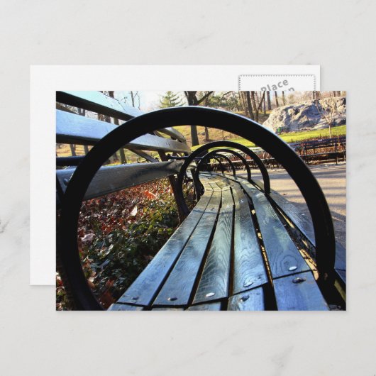 Unieke Park Bench in Central Park, NYC Briefkaart (Voorkant / Achterkant)