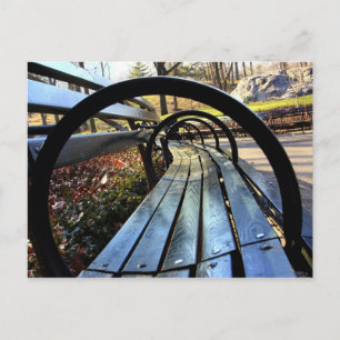 Unieke Park Bench in Central Park, NYC Briefkaart
