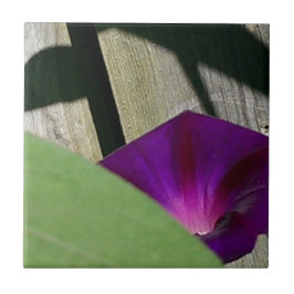 Unieke platte decoratieve tegel tegeltje