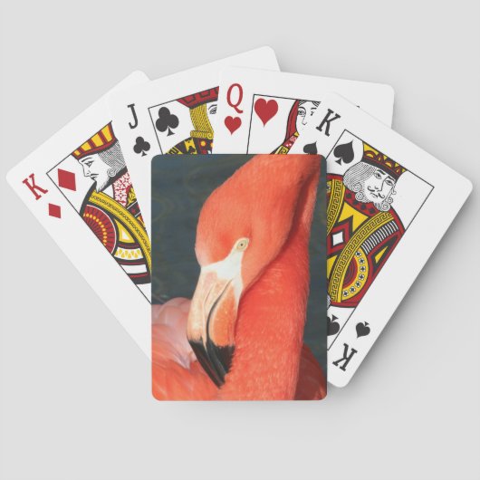 Unieke roze afspeelkaartendek van Flamingo Pokerkaarten (Achterkant)