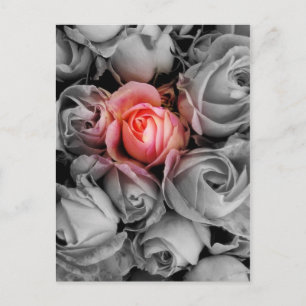 Unieke schoonheid briefkaart