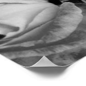 Unieke schoonheid poster (Hoek)