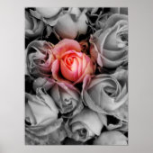 Unieke schoonheid poster (Voorkant)