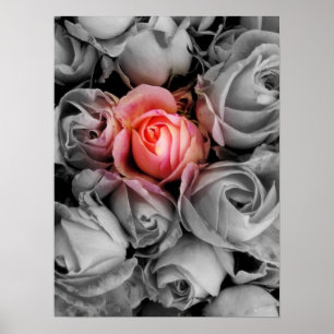 Unieke schoonheid poster