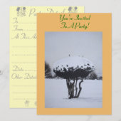 unieke sneeuwscène voor kerst kaart (Voorkant / Achterkant)