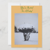 unieke sneeuwscène voor kerst kaart (Voorkant)