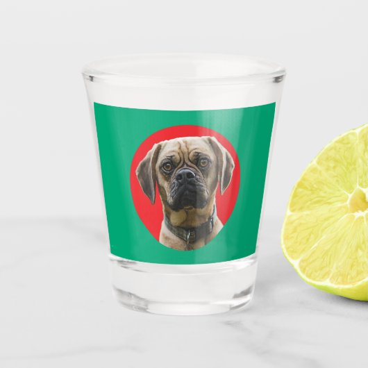 Unieke Stocking Stuffer Pet Hondenliefhebber Foto  Shot Glas (Voorkant)