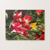 Unieke Tulp met rood en wit Legpuzzel (Horizontaal)