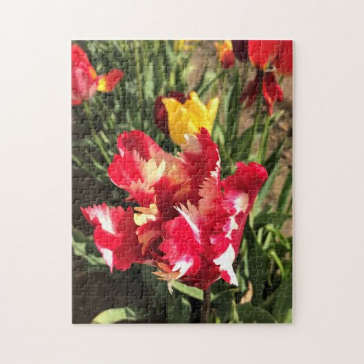 Unieke Tulp met rood en wit Legpuzzel (Verticaal)