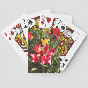 Unieke Tulp met rood en wit Pokerkaarten