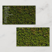 Unieke Virginia creeper Visitekaartje (Voorkant / Achterkant)